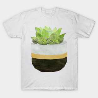 Houseplant - Echeveria T-Shirt